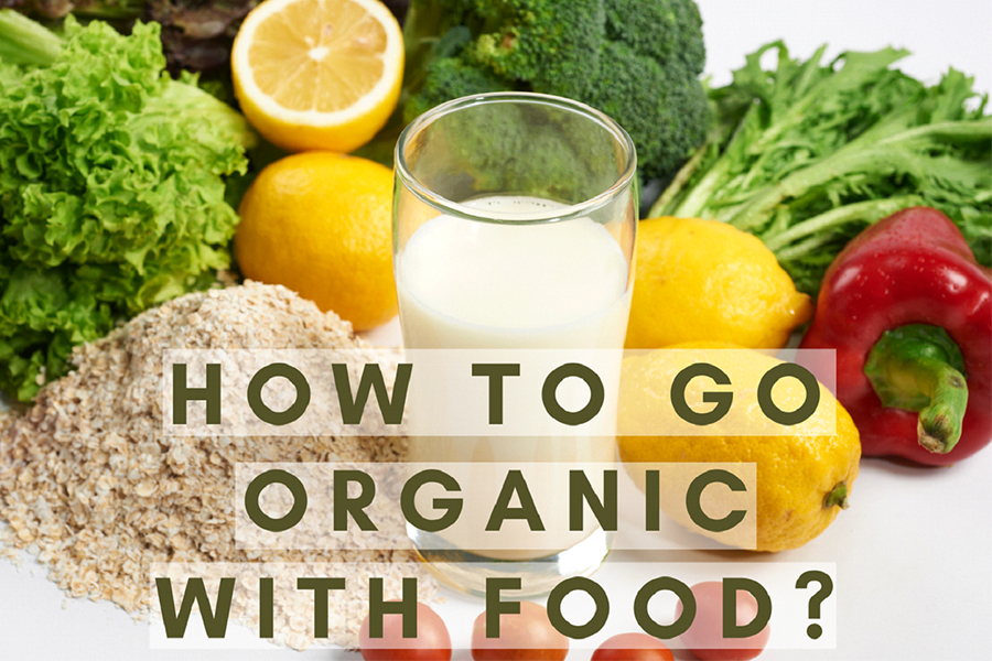 organic farm food